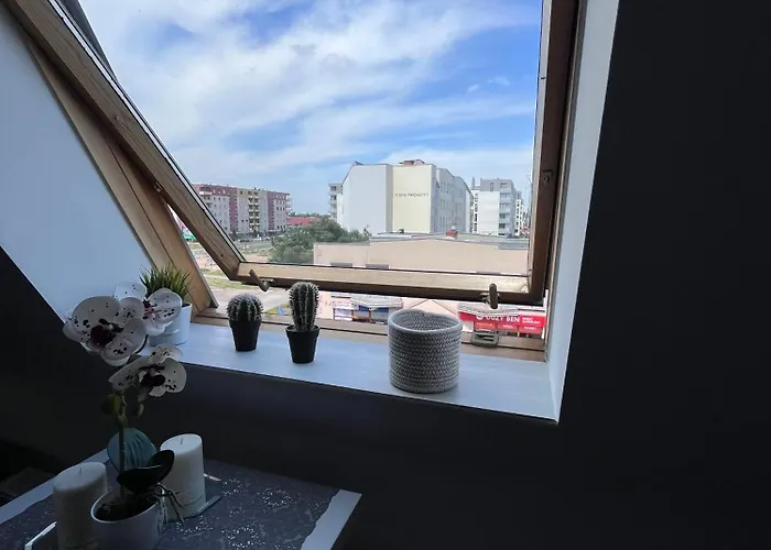 Culica * Вжесня